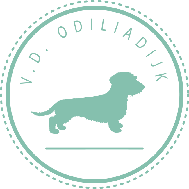 van de Odiliadijk